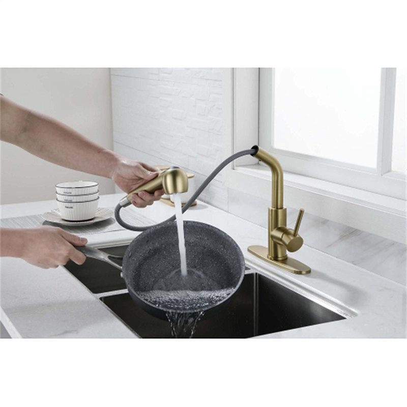 Red Cloud Pull Out Kitchen Faucet, Gold
