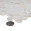 Carreau de mosaïque murale coquille naturelle 11-1 / 4 "x 11-5 / 8" Conchella Penny