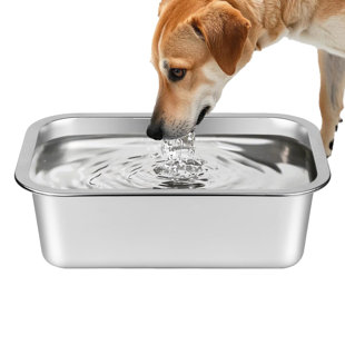 Grand bol d'eau en acier inoxydable pour chien 1,25 gallons, bol d'eau et de nourriture pour chien en métal sans déversement