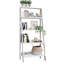 Aeden Ladder Bookcase-614858846