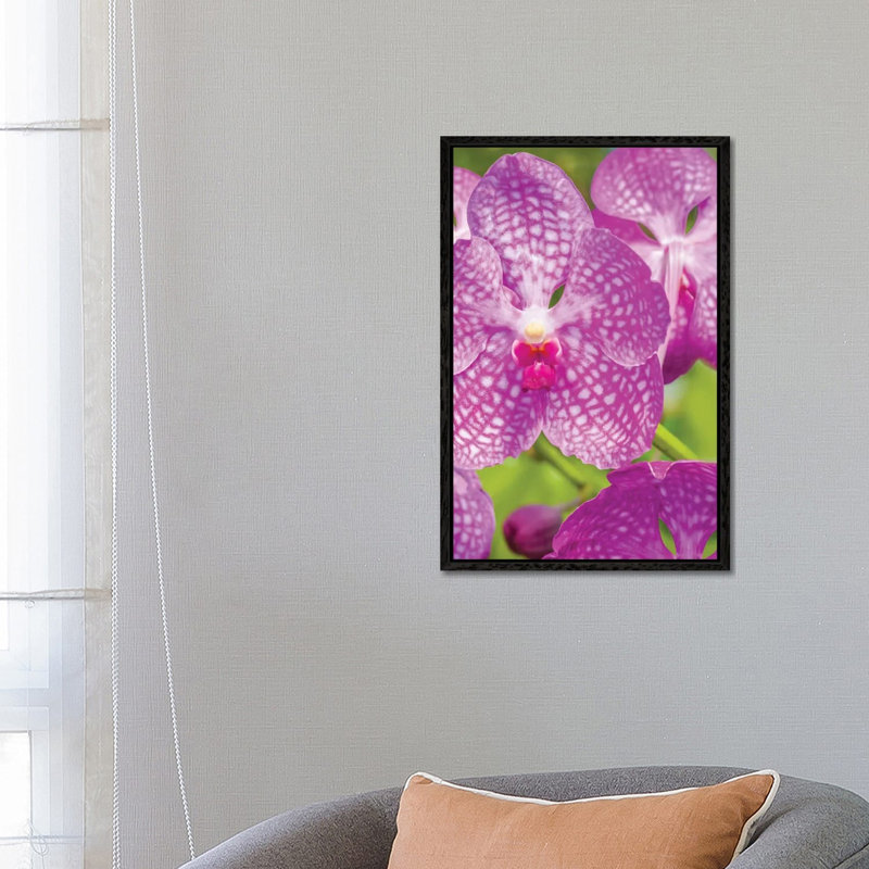 Garden by Panoramic Images - Wrapped Canvas Print, 66.04 cm H x 45.72 cm W, Black Framed