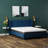 Omne Fria 8 Inch Firm Mattress With Cooling Cover-1157115965