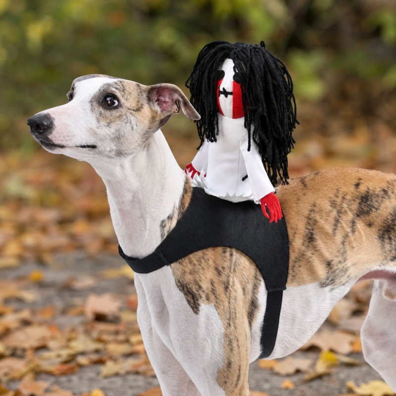 Décoration d'Halloween : Poupée fantôme effrayante pour chien, tenue de chevauchée ajustable pour chiens moyens et grands, costume de fête.