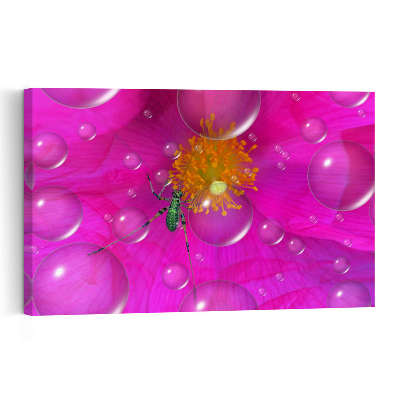 Green Insect Dewy Petals Delicate Vibrant Contemporary Flower Nature Wall Art Print 1 Piece Wrapped Canvas Wall Art