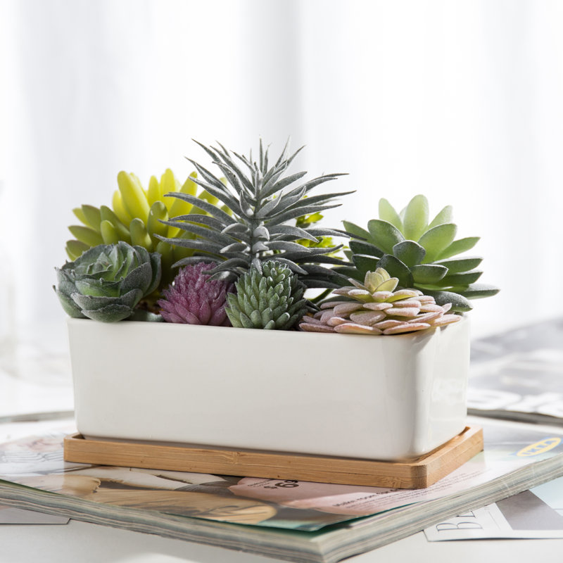 Ember 5.5'' Faux Succulent in Pot