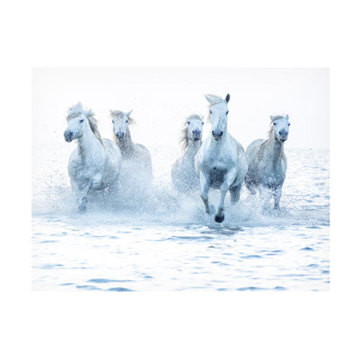 «Horses on the Run» par Marketa Zvelebil Ph.D - impression sur toile tendue