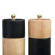 Pacey Wood Salt And Pepper Shaker Set