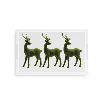 Acrylic Decorative Tray