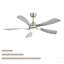 Ventilateur de plafond intelligent de 52 pouces avec lumière avec 5 pales en ABS à intensité variable et fonction mémoire-1669023734-1669023735