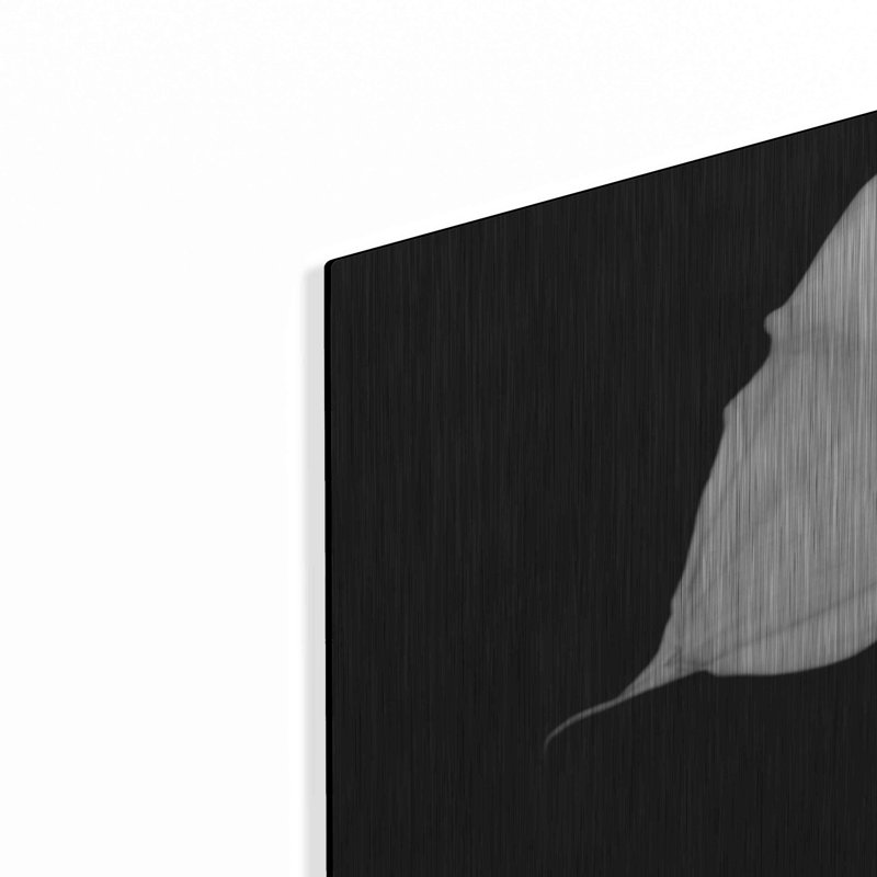 "Elegant Calla IV" par Elise Catterall, H 24 po x l 36 po