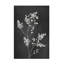 Art sur toile, noire Amini54, fleurs noires-105647299