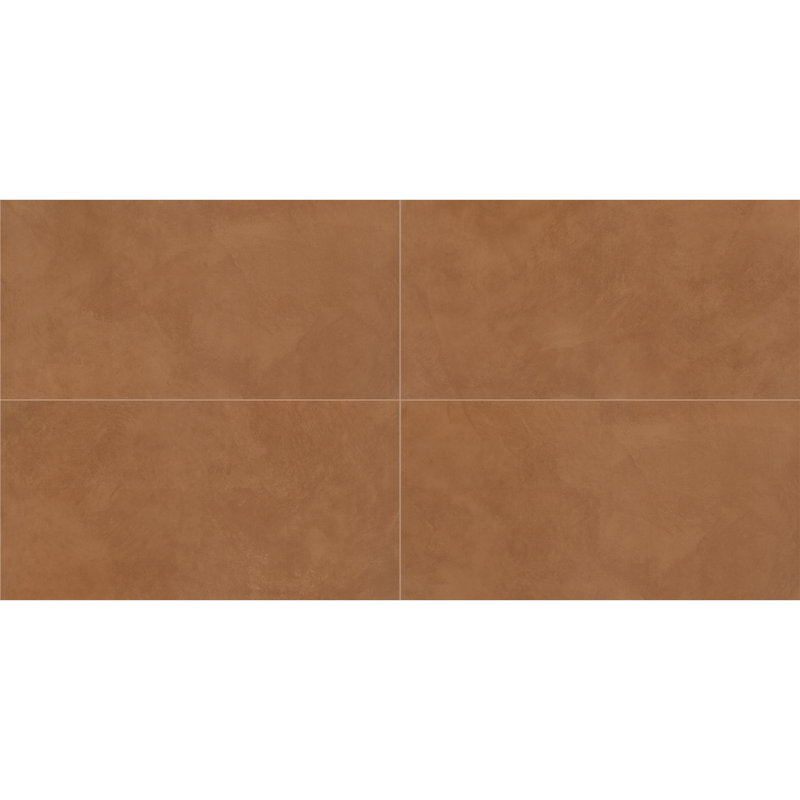 Daltile Indoterra 24 x 48 Colorbody Porcelain Floor Tile with Stepwise Technology (2 PCS Per Carton) (15.26 SQFT Per Carton)