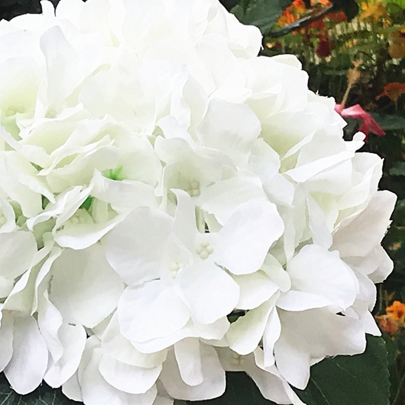 Arrangement floral hortensia en soie dans un vase, Crème