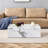 Modern MDF Coffee Table With Marble Pattern