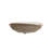 Stoneware White Shell Abalone Plate