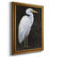 White Heron Portrait I, toile encadrée de qualité supérieure - prête à être accrochée-377293298