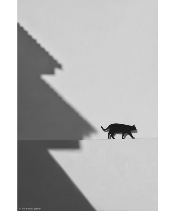 Wrapped Canvas Print, 76.2 cm H x 50.8 cm W
