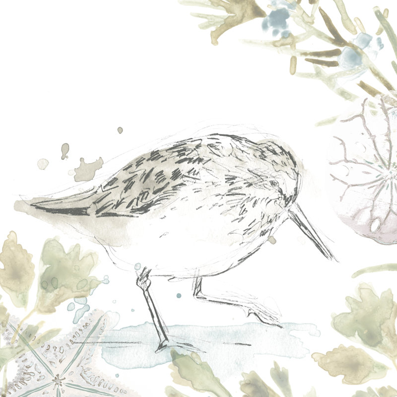 Seaside Sandpipers III by June Erica Vess - Wrapped Canvas Painting, 91cm H x 91cm W