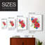«Brilliant Poppies II», reproduction encadrée - bois massif-1748784940-1748784943