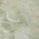 Premium Machine Washable Elize AMF1506 Floral Rug