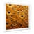White Single Picture Framed selected