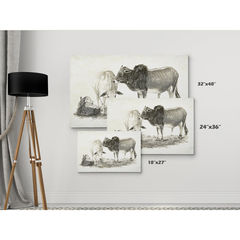 « betail sketch vi », impression, H 32 po x l 48 po x P 1,5 po, Pas de tapis, Toile tendue