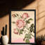 Reproduction d'art encadrée noire, rose, rose ou chou-1613839955