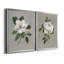 Magnolia botanique - ensemble de 2 reproductions d'art-512224792-512224784-512224776