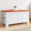 Accent Cabinet