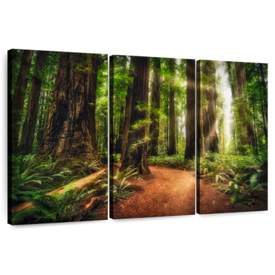 Alvord Sunrise At Jedediah Redwoods State Park