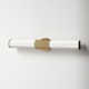 Belden Single Frosted Dimmable LED Bath Bar