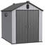 Remise de rangement en plastique XWT012 6 * 8ft pour jardin à outils