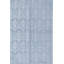 Hand-Knotted High-Quality Light Blue Area Rug
