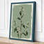 White Flowering Study Botanical - Wrapped Canvas-1271057971-1271056846