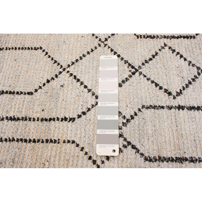 Tapis unique gris clair en laine noué à la main de style nouvel âge Indo 5 pi x 8 pi Grogan