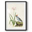 Severine -Gallery Wrapped Canvas