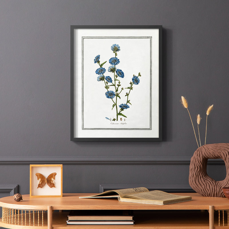 Soft Botanical I Framed Print - Solid Wood, 10" H x 8" W, Black
