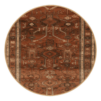 Machine Washable Turkish Brown Area Rug