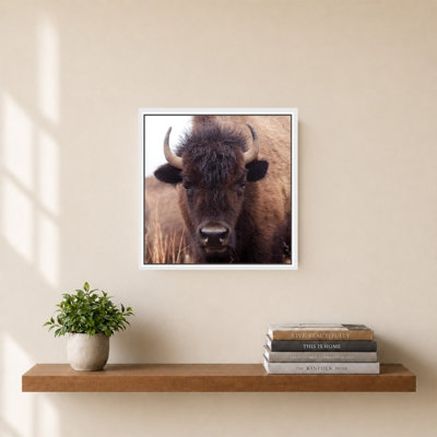 «American Bison IV» par Debra Van Swearingen - Impression sur toile