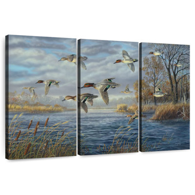 Sanctuary Bay - Green Winged Teal