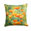 Coussin California-114457538
