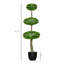 Ensemble de 2 buis artificiels en pot 43,25 po