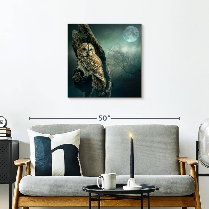 Brampt Owl At Night, 24" H x 24" W