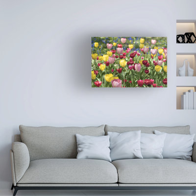 Wrapped Canvas Wall Art - Alan Blaustein 'Hokkaido 12' Wall Art for Living Room, Bedroom, or Office Décor  - 30x47