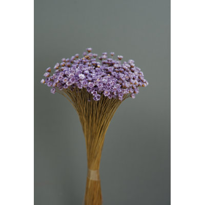 Baby's Breath Arrangement