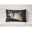  Coussin intérieur / extérieur Day Dreamer