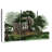 Lebanese Cedar Trees-241800409