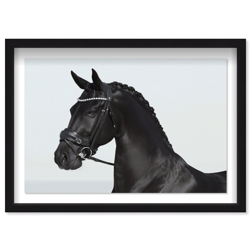 Midnight Majesty II Framed Graphic Art, 11.5"H x 16.5"W, Black Shadowbox