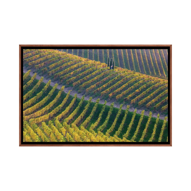 Vineyards by Fiorenzo Carozzi - Floater Frame Print on Canvas, 101.6 cm H x 66.04 cm W, Brown