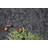 Indoor Rug-153477836
